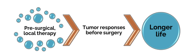 CEL-SCI shareholder letter opening graphic