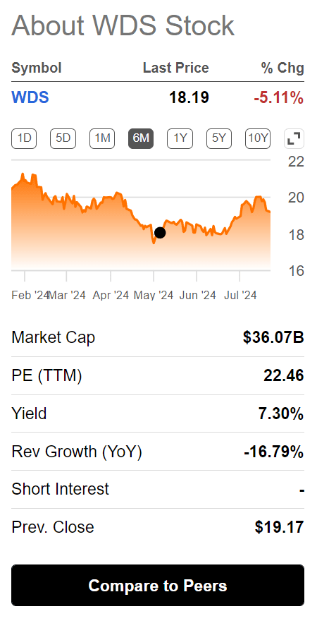 Investors punished WDS on rising risks