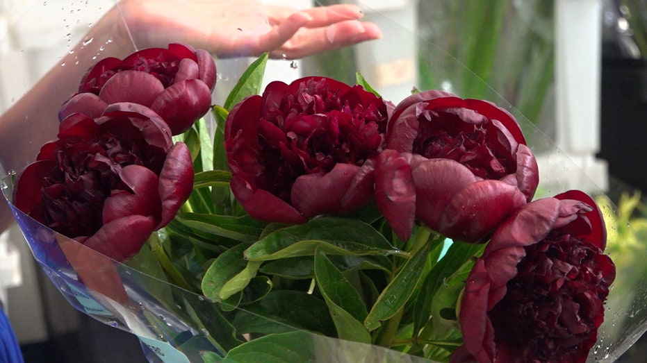 Peonies are one of the most popular flowers for weddings