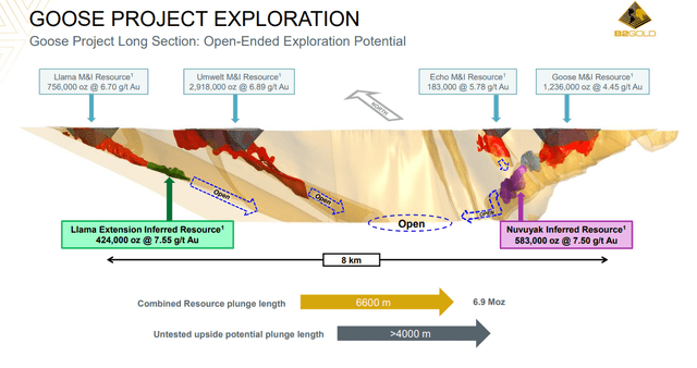 Goose project geology overview