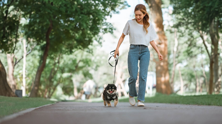 A woman walking her dog